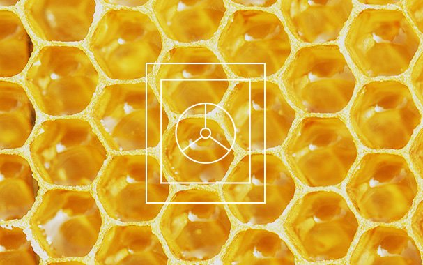 Data Warehousing